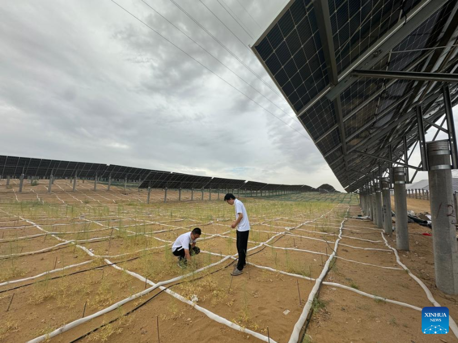 Boosting farmers' incomes with solar panels